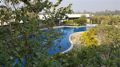 tiger palace resort vacancy|Tiger Palace Resort .